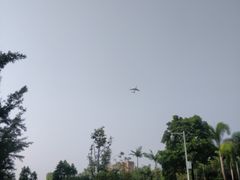 -宝安西湾红树林湿地公园