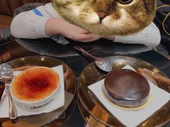 -Awfully Chocolate(来福士广场店)