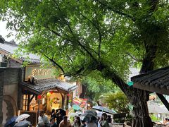 -重庆市奥林匹克体育中心-游泳跳水馆