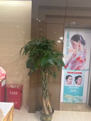 -重庆星宸整形美容医院