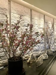 点击看大图 -VELEE·SPA高定疗愈会所