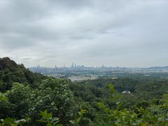 -火炉山森林公园