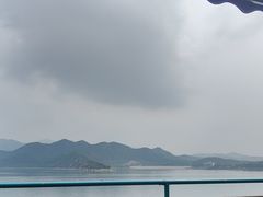 -望湖烤鱼
