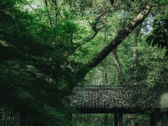 -云栖竹径
