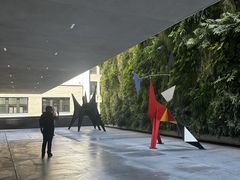 -旧金山现代艺术博物馆