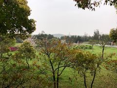 -普陀山风景名胜区-法雨禅寺