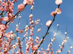 -大兴滨河森林公园