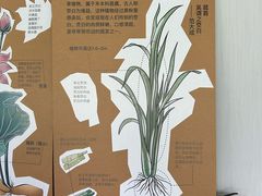 -中国湿地博物馆