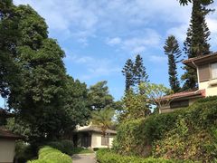 -厦门悦华酒店·绿庭主题自助餐厅