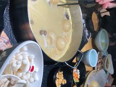 -洪氏嗨捞·广东猪肚鸡·椰子鸡火锅(西咸万象城店)