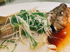 -美丽豪酒店(西安钟鼓楼回民街店)