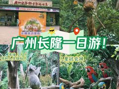 -广州长隆野生动物世界