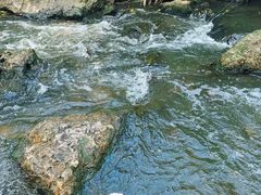 -羊山湖公园