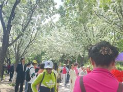 -泰丰公园