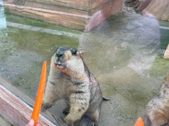 -雪浪山卡丁车俱乐部