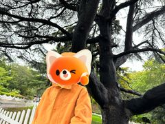 -青岛德国总督楼旧址博物馆