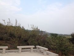 iphone_upload_pic-三山岛