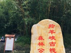 -羚羊峡古栈道森林公园