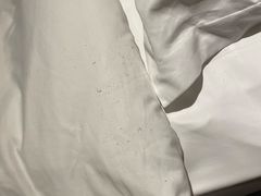 -成都世纪城假日酒店-西楼