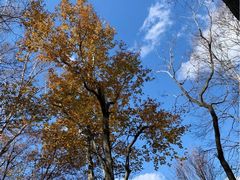 -帽儿山风景区