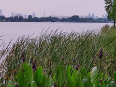 -东湖落雁景区