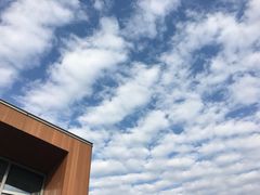 -翠山·映月湖景餐厅(映月湖公园店)