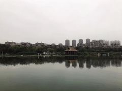 -前关湿地公园