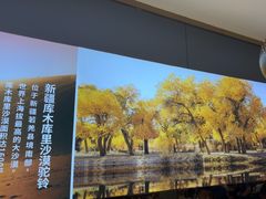 -西域胡氏大盘鸡(谈固店)