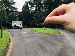 -青城道汤池