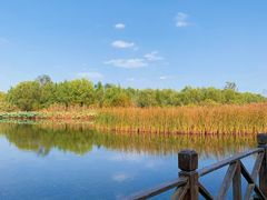 -溱湖国家湿地公园