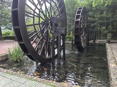 -长谷洞天