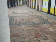 -西树泡芙(蓝色港湾店)