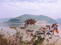 -北岐滩涂