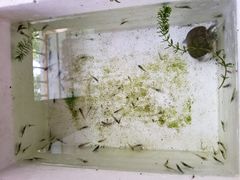 -门城湖公园
