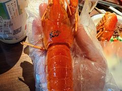 招牌蓝龙-长沙文和友(海信广场店)