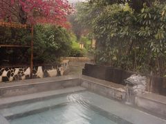 -庐山天沐温泉度假村