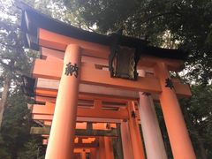 -有栖山 清光院 清水寺