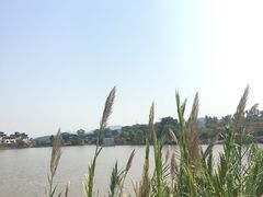 -美的鹭湖森林度假区