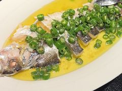 -大拙里·精致融合菜(沙湖桃源国际店)