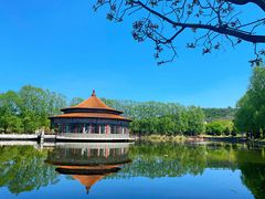 -二一九公园