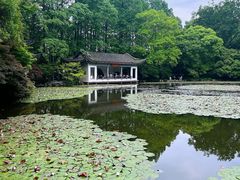 -杭州植物园