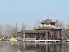 -溱湖国家湿地公园