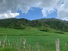 -兰州吐鲁沟国家森林公园