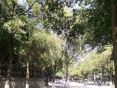 -厦门大学(思明校区)