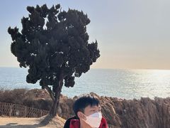-青岛海滨风景区