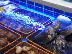 -北李·海肠捞饭·大连菜(望京凯德MALL店)