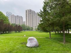 -大望京公园