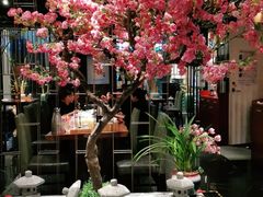 -九井澤精致料理(金茂店)