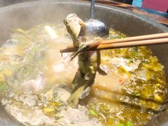 -石锅苗苗鱼(武汉首店)