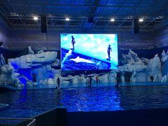 -福州罗源湾海洋世界旅游区